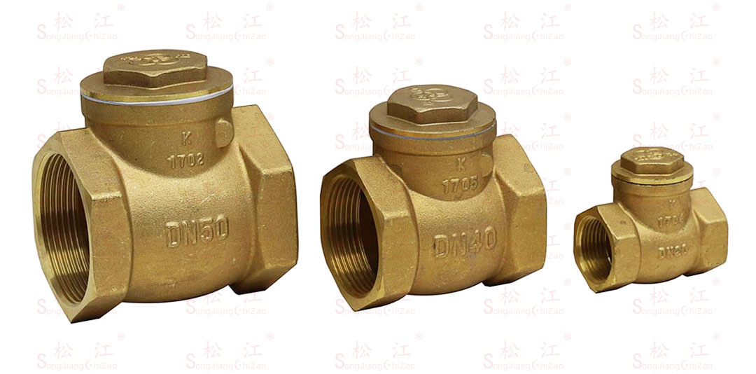 Songjiang copper check valve